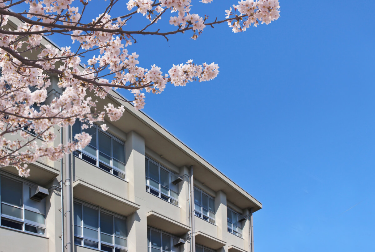 パワフル会計「学校」イメージ